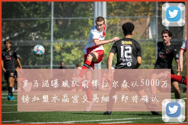 罗马诺曝狼队前锋拉尔森以5000万镑加盟水晶宫交易细节即将确认