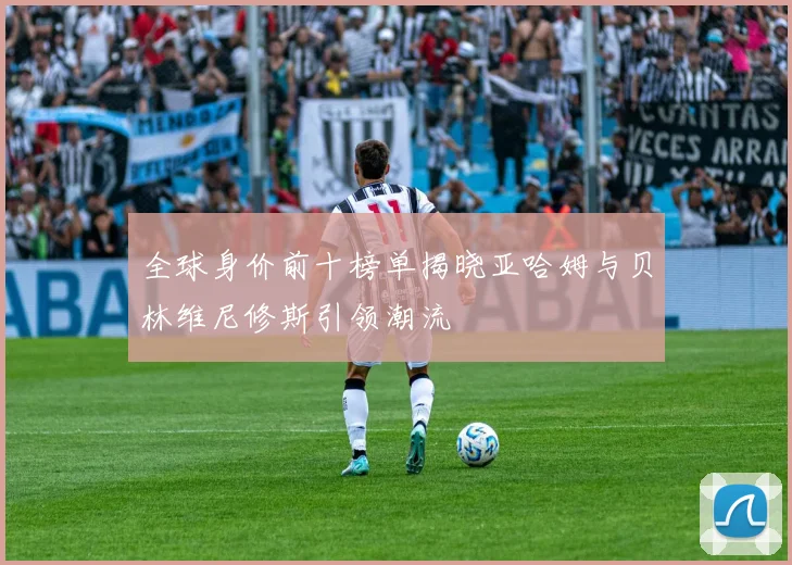 全球身价前十榜单揭晓亚哈姆与贝林维尼修斯引领潮流